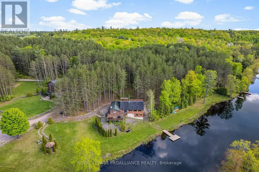 16 Beaver Creek Lane, Tudor and Cashel (Tudor Ward)